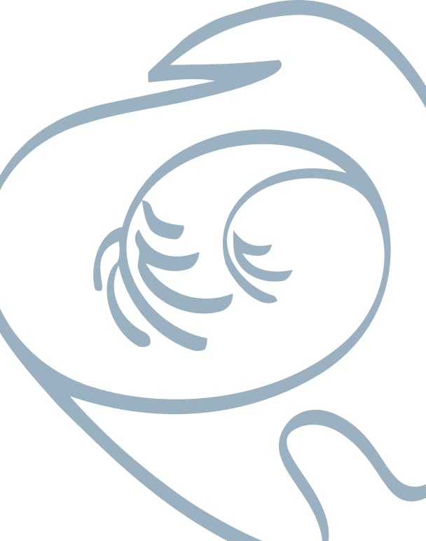 Willow Family Dentistry emergency dental care